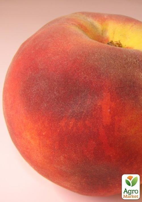 Персик "Сидоренко" (летний сорт, средний срок созревания) - фото 5