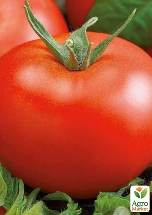 Томат "Щедрий кум" ТМ "Vesna Select" 0.2г