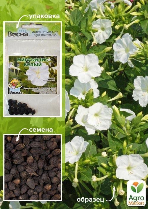 Мірабіліс "Білий" (Зипер) ТМ "Весна" 1.5г