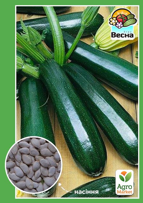 Кабачок "Нефрит" (Новий пакет) ТМ "Весна" 2г