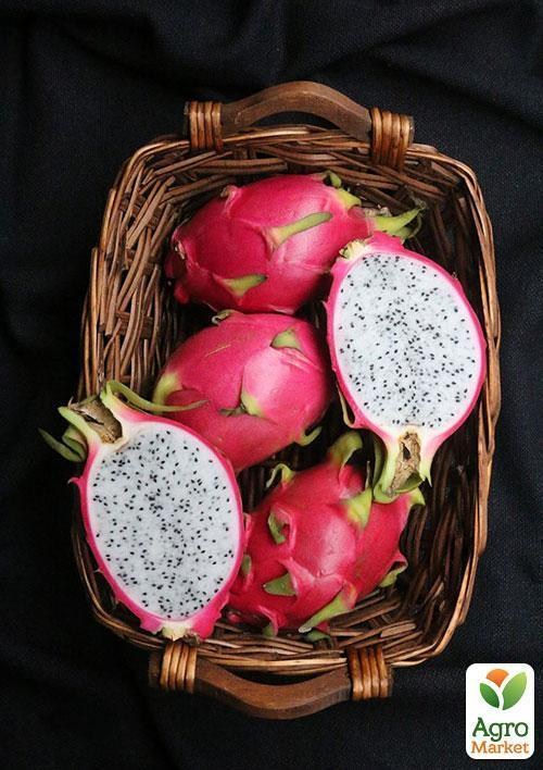 Пітахайя "Драконівський фрукт" ТМ "Vesna Exclusive" 5шт