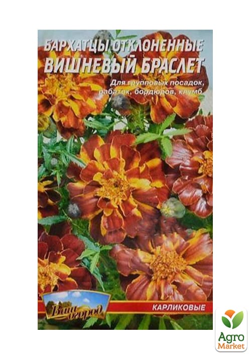 Чорнобривці "Вишневий браслет" ТМ "Весна" 0.3г - фото 2