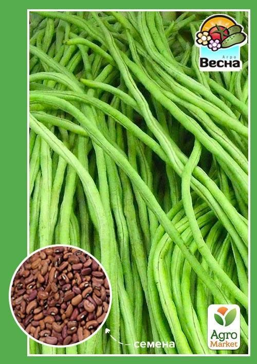 Вигна "Китайская" (Большой пакет) ТМ "Весна" 2г
