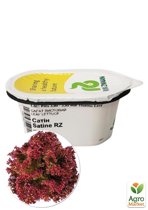 Салат листовий "Сатін" ТМ "RIJK ZWAAN" 1000шт