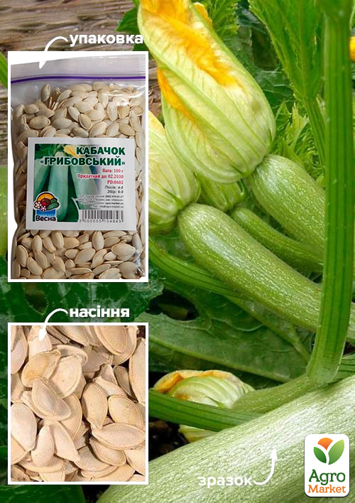 Кабачки "Грибовський" ТМ "Весна" 100г