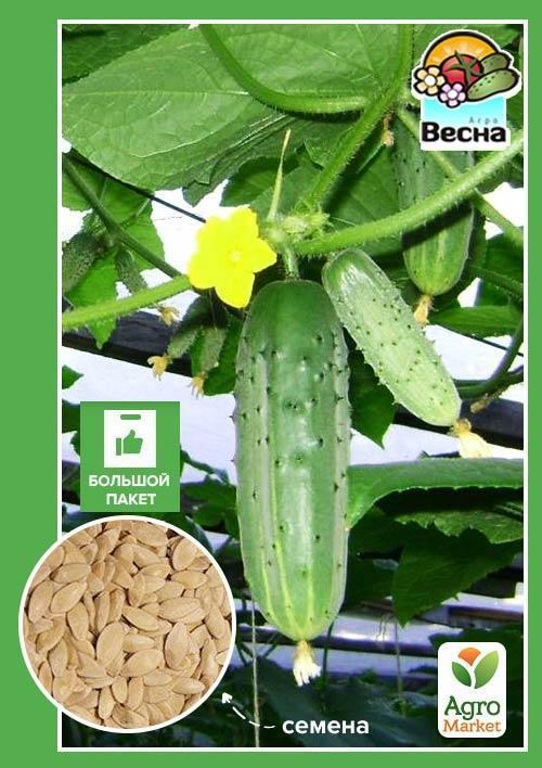 Огурец "Чудо хрустик" (Большой пакет) ТМ "Весна" 1.5г