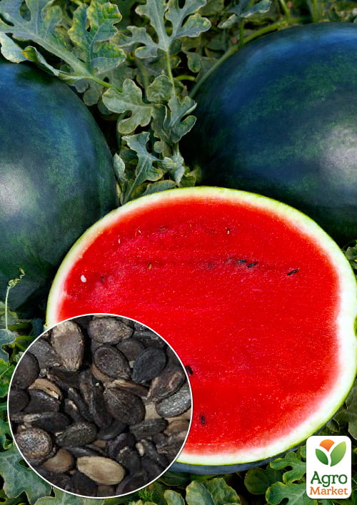 На развес Арбуз "Чародей" ТМ "Весна" цена за 6г