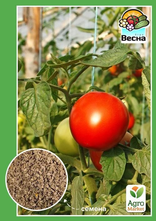 Томат "Мустанг" ТМ "Весна" 0.1г