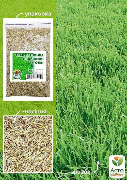 Трава газонна "Вівсяниця лугова" ТМ "Весна" 100г