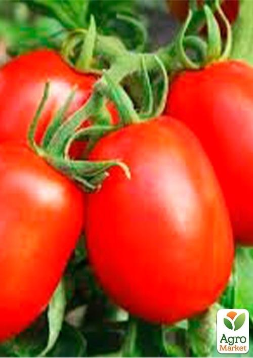 Томат детермінантний "Платон F1" ТМ "Lark Seeds" 5000шт