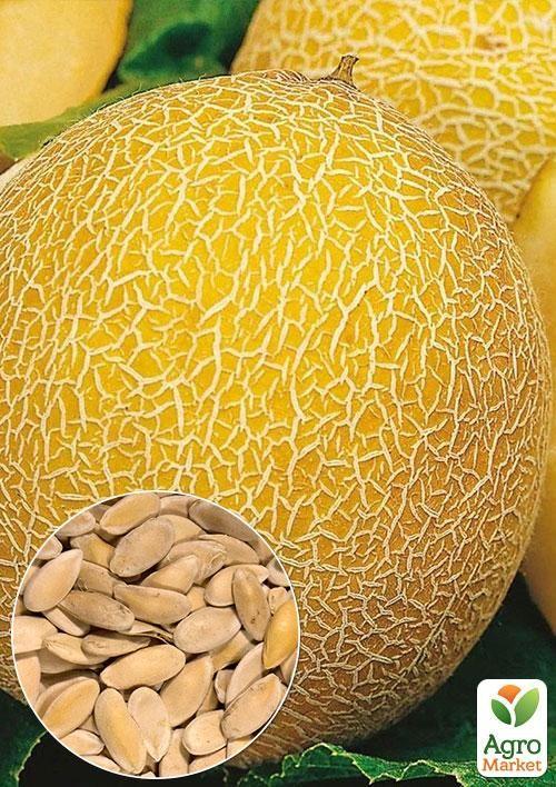 На развес Дыня "Казачка" ТМ "Весна" цена за 6г