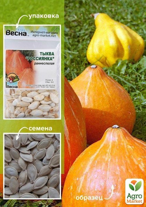 Гарбуз "Росіянка" (Зипер) ТМ "Весна" 8г