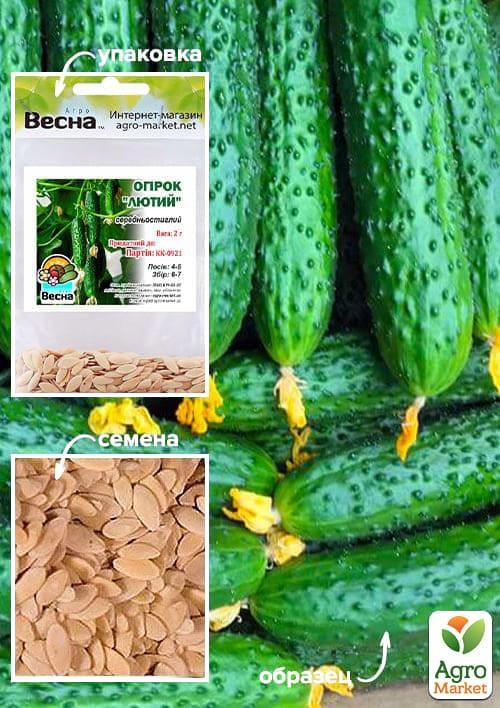 Огірок "Лютий" (Зипер) ТМ "Весна" 2г