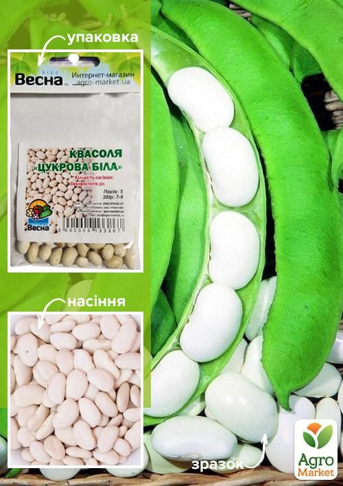 Фасоль "Сахарная белая" (Зипер) ТМ "Весна" 5г