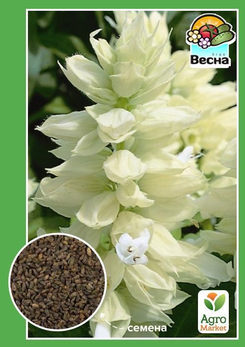 Сальвія однорічна "Біла" ТМ "Весна" 0.2г