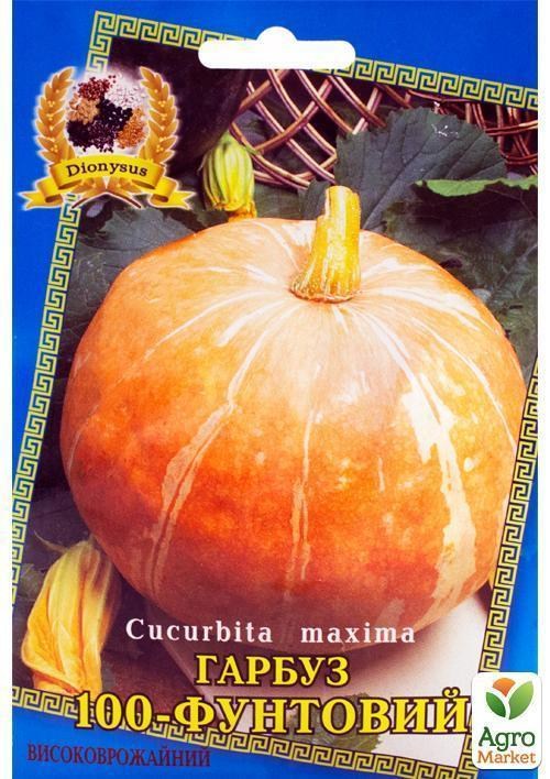 Гарбуз "Стофунтовая" ТМ "Dionysus" 10шт
