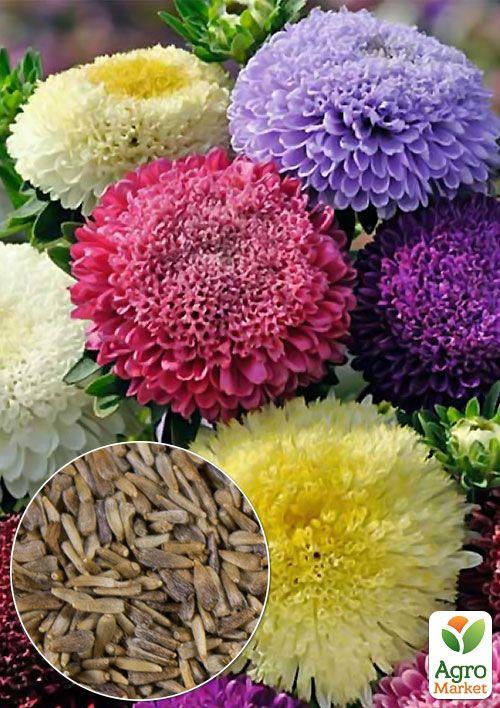 На развес Астра "Принцесса смесь" ТМ "Весна" цена за 1,5г