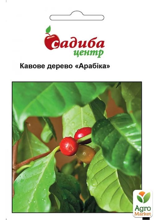 Кофейное дерево "Арабика" ТМ "Садиба центр" 5шт