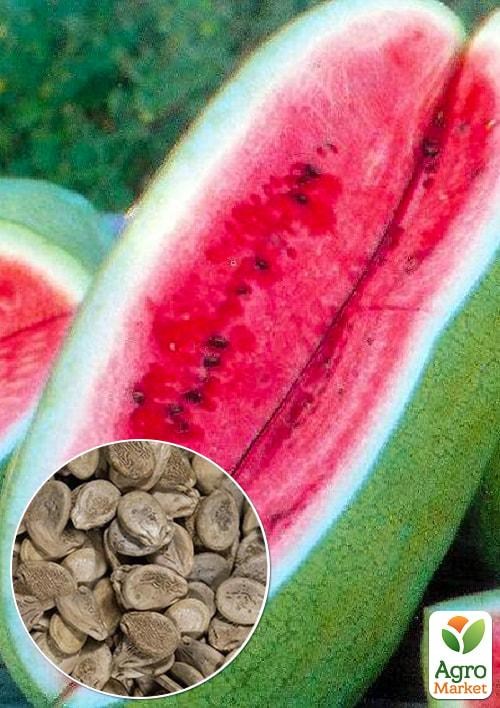 На вагу Кавун "Медовий гігант" ТМ "Весна" ціна за 5г