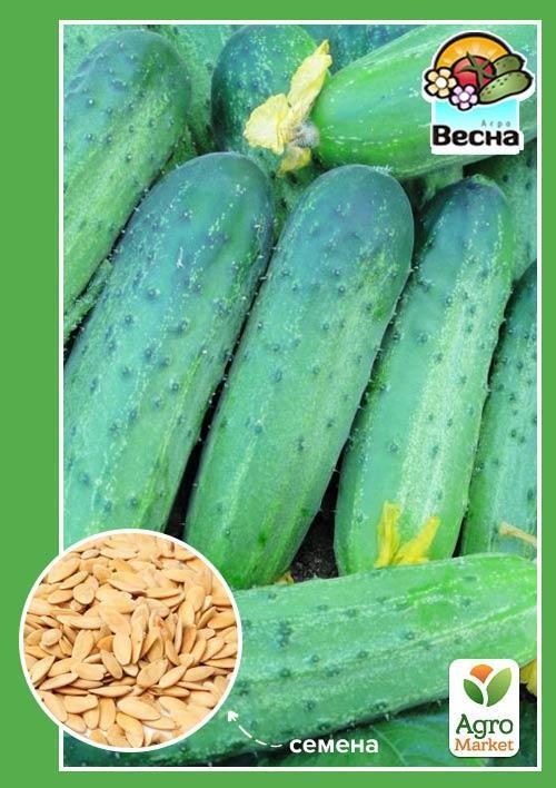 Огірок "Баба Маша F1" (Новий пакет) ТМ "Весна" 0.2г
