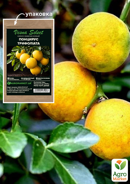 Понцірус "Трифоліата" "Vesna Select" 10шт