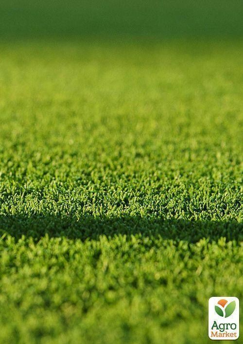 Газонная травосмесь "Гольф" ТМ "Семейный сад" 800г - фото 2