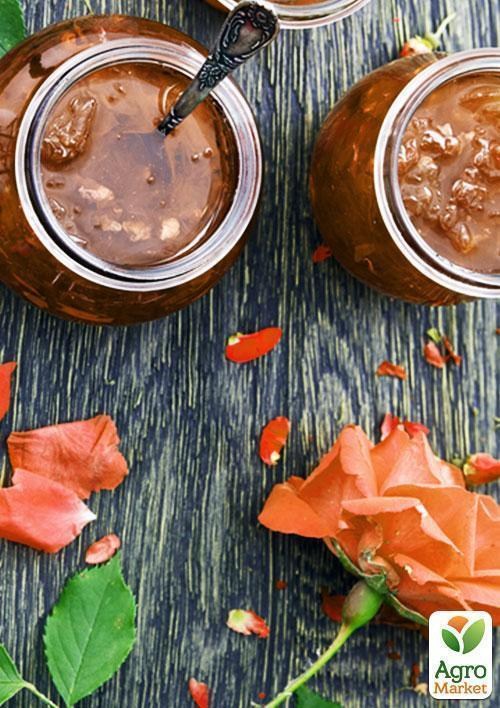 Ексклюзив! Троянда чайно-гібридна абрикосова "Надія" (Hope) (сорт на приголомшливе ароматне варення) - фото 3