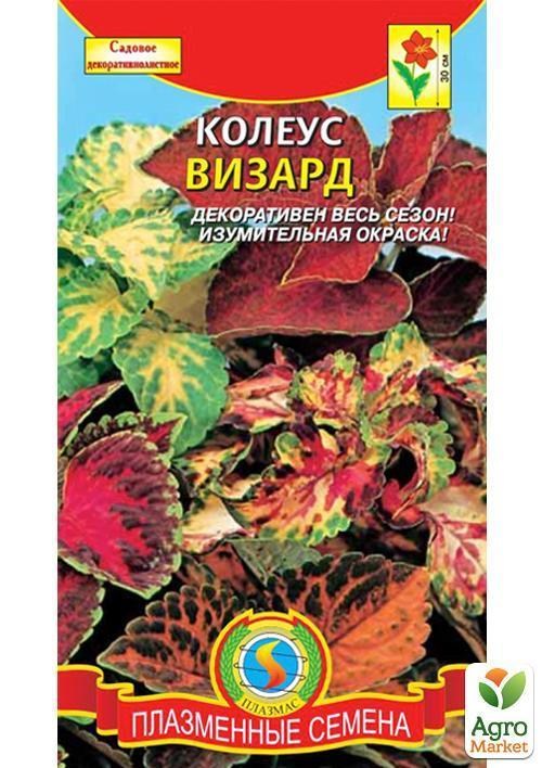 Колеус "Визард" смесь ТМ "Плазменные семена"10шт