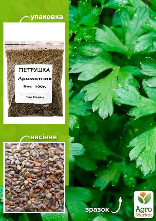 Петрушка "Ароматная" ТМ "Весна" 100гр