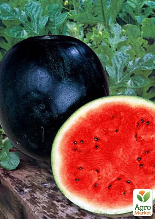 Арбуз "Ультраранний" (в банке) ТМ "Весна Органик" 15г