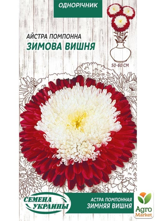 Астра "Зимняя вишня" ТМ "Семена Украины" 0.25г