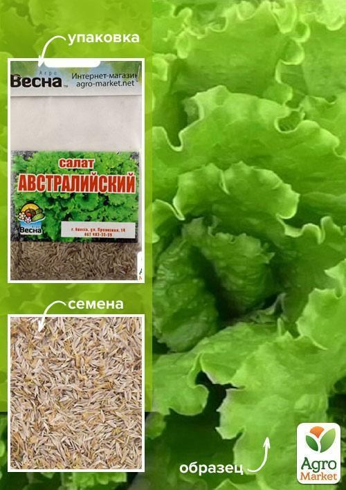 Салат "Австралийский" (Зипер) ТМ "Весна" 3г