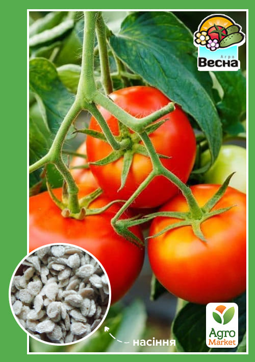 Томат "Взрыв" (Зипер) ТМ "Весна" 0,5г
