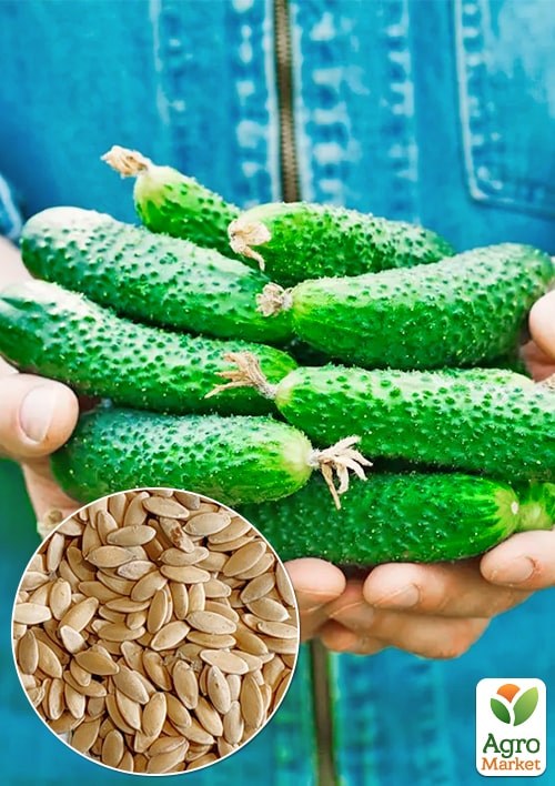 Огірок "Лелека" ТМ "Весна" 0,5г