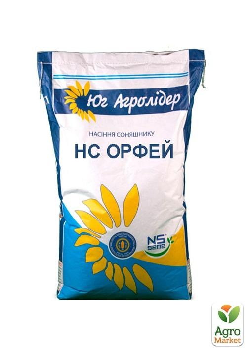 Соняшник "НС Орфей" ТМ "NS SEME" 150000шт