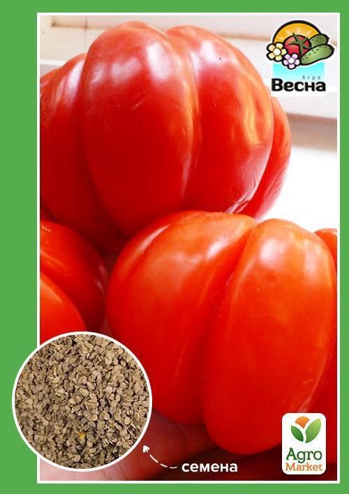 Томат "Прекрасна леді" (Новий пакет) ТМ "Весна" 0.1г