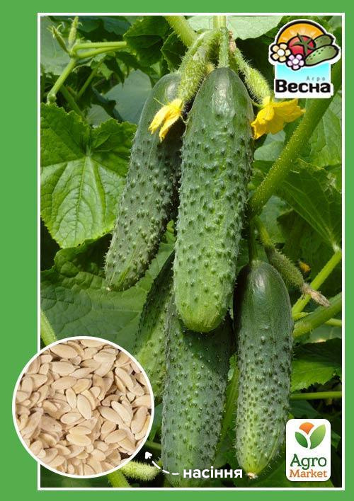 Огірок "Ніжинський" ТМ "Весна" 0.5г