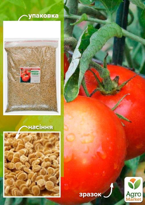 Томат "Ляна" ТМ "Весна" 500г