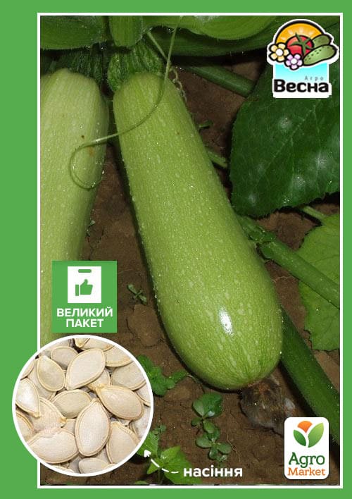 Кабачок "Аспирант F1" (Большой пакет) ТМ "Весна" 4г