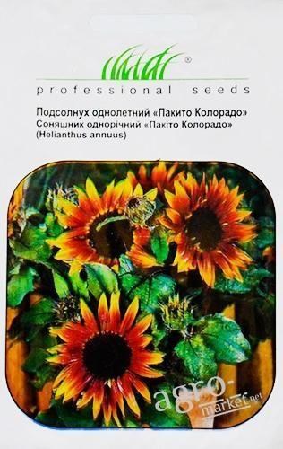 Соняшник "Пакито колорадо" ТМ "Hem Zaden" 1г