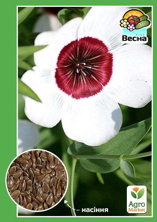 Лен крупноцветковый "Ясные глазки" ТМ "Весна" 0.5г