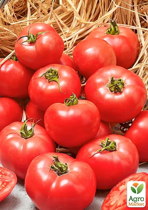 На развес Томат "Шанс" ТМ "Весна" цена за 1г - фото 2