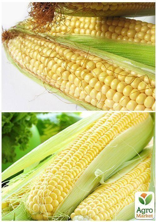 На развес Кукуруза "Снежная королева" ТМ "Весна" цена за 40г - фото 4