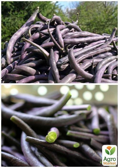 На вагу Квасоля спаржева "Чорна" ТМ "Весна" ціна за 15г - фото 2