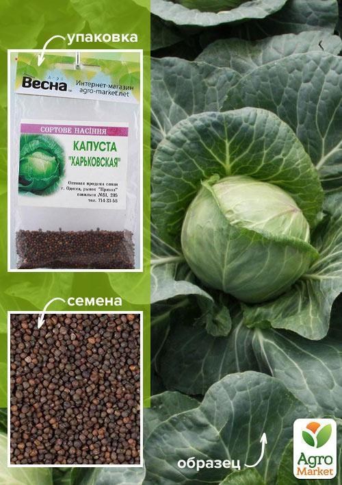 Капуста "Харьковская" (Зипер) ТМ "Весна" 3г
