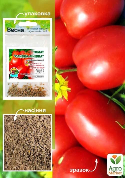 Томат "Сливка-ленивка" (Зипер) ТМ "Весна" 1г