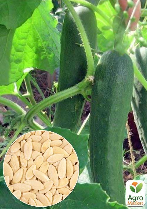 На вагу Огірок "Делікатесний" ТМ "Весна" ціна за 2г