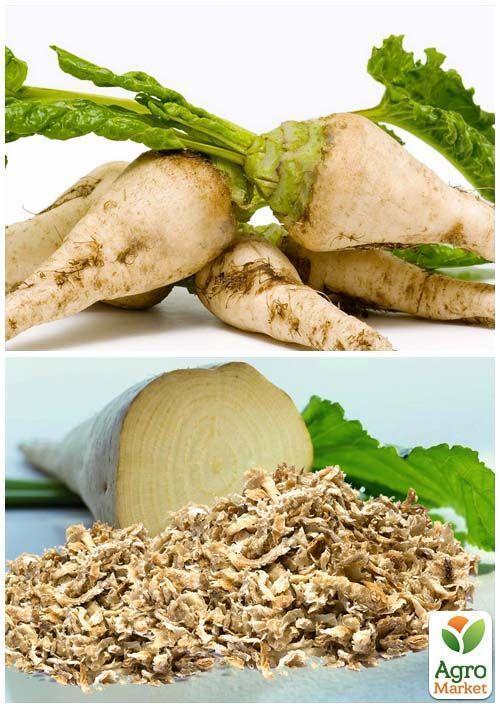 На вагу Буряк "Цукровий" ТМ "Весна" ціна за 15г - фото 3