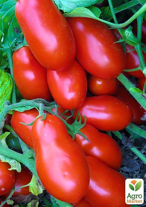 Томат "Миссури" (Зипер) ТМ "Весна" 1г - фото 3