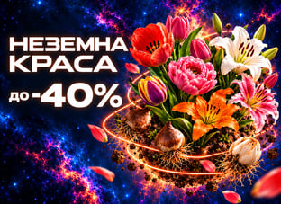 Неземні знижки до -40% на цибулини квітів